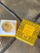 Парфумована вода для чоловіків та жінок (унісекс) Vilhelm Parfumerie Mango Skin - изображение 6