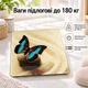 Весы напольные A-PLUS до 180 кг (1677) "Бабочки на бежевом" - изображение 1