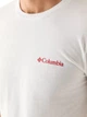 Футболка хлопковая длинная мужская Columbia 241469085 S Белая (1161782064) - изображение 4