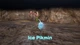 Gra Nintendo Switch 2 Pikmin 4 + Dandori Academy (Kartridż) (045496315344) - obraz 13
