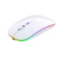 Бездротова Безшумна мишка 2.4G + Bluetooth Вбудований акумулятор RGB підсвітка Біла - изображение 4