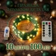 Світлодіодна гірлянда Крапля Роси на зеленому проводі, з USB та пультом Green Wire LED Fairy Lights 10 метрів 100 LED - зображення 1