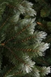 Гирлянда TriumphTree ПВХ 180 см зеленая с инеем - изображение 2