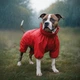 Дождевик для собак WAUDOG Clothes, водонепроницаемый, L55, В 77-79 см, С 50-55 см, красный - изображение 4