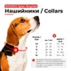 Ошейник для собак из нейлона WAUDOG Nylon Recycled c QR паспортом, градиент, пластиковый фастекс, L, Ш 25 мм, Длин 33-49 см, голубой - изображение 2