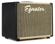 Гитарный кабинет EGNATER Rebel 112X - изображение 1
