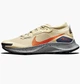 Кросівки для бігу чоловічі Nike Pegasus Trail 3 Gore-Tex 41 Бежевий DC8793-200 - зображення 1
