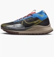 Кроссовки для бега мужские Nike Pegasus Trail 4 Gore-Tex 46 Комбинированный DJ7926-003 - изображение 1