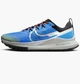 Кросівки для бігу чоловічі Nike Pegasus Trail 41 Комбінований DJ6158-401 - зображення 1