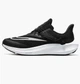 Кросівки для бігу жіночі Nike Air Zoom Pegasus Flyease 38 Чорний DJ7383-001 - зображення 1