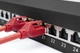 Патч-панель CAT 6A 24 порта сталь 1U 19" черная DN-91624S-EA - изображение 5