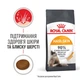 Сухий корм Royal Canin Hair & Skin Care 2 кг - изображение 2