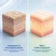 Щоденний відновлювальний крем для шкіри п'ят HeelFix DRY HEELS Daily Repair Cream ТМ «HeelFix», 100 мл HF-02-199 - зображення 4