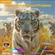 Проектор Magcubic HY300 Max Android 14 400 ANSI 1/8GB Wi-Fi 6 Bluetooth Автофокусом та підтримкою 8K Домашній кінотеатр - зображення 6