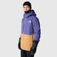 Мужская куртка The North Face Freedom Stretch Jacket, лыжная Коричнево-фиолетовый XXL Код: NF0A82VVOSX Cave Blue / Alder - изображение 1