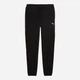Спортивные штаны утепленные мужские Puma Pumatech Pants 694292-01 L Черные (4070033456699) - изображение 4