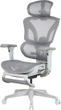 Крісло офісне OfficePro Onix OC975G Mesh  ергономічне Gray - зображення 1