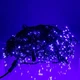 Гірлянда Бахрома вулична 36 м 600 LED IP44 з режимом Flash, Світлодіодна новорічна гірлянда зі 121 підвісною ниткою на чорному проводі від мережі для фасаду, балкона, вікон та альтанки, Синій - зображення 6