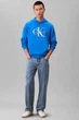 Мужское худи на флисе Calvin Klein 48(M) Синий (157987) - изображение 5