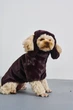 Шапка для собак хутро Dogs Bomba ожина S-135 3р - зображення 2