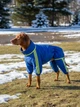 Дощовик для великих порід собак 5XL 61-62cm Лабрадор Пудель Стафф Самоід Хаскі Лайка Dog's Happiness Синій Дівчинка 0112-01/36 - изображение 3