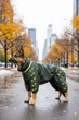 Дощовик для великих порід собак 6XL 63-65cm Вівчарка Боксер Доберман Корсо Dog's Happiness Темно-зелена олива Хлопчик 0116-01/20 - изображение 3