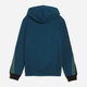 Подростковое худи для мальчиков Puma Essentials Block 69473536 134-140 см Синее (4070033463376) - изображение 5