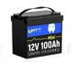 Акумулятор LiFePO4 WattCycle MINI 12V 100Ah BT IP65 батарея з BMS 100A - изображение 1