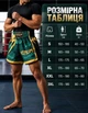 Шорти для тайського боксу кікбоксингу муай тай професійні для занять Muay Thai Shorts (size S / Blue-Gold) - зображення 4