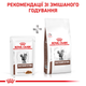 Лікувальний корм Royal Canin Gastrointestinal Feline Pouches 85 г (40390011) x12 шт. - зображення 5