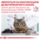 Лікувальний корм Royal Canin Gastrointestinal Fibre Response Вологий корм для дорослих котів при розладах травлення 85 г (R439300) x12 шт. - зображення 8