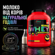 Протеїн ізолят Genius Nutrition iWhey isolate, 2000 г., Кекс з лохиною - зображення 4
