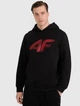 Чоловіче худі утеплене з капюшоном 4F 4FWMM00TSWSM1766-020S L Чорне - зображення 2