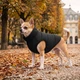 Курточка для собак WAUDOG Re-clothes двостороння, XS25, A 22-25, B 36-38, C 27-30, чорний - зображення 2