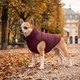 Курточка для собак WAUDOG Re-clothes двостороння, XS22, A 20-22, B 33-35, C 19-21, бордовий - зображення 2