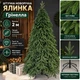 Штучна лита ялинка Грінелла висотою 2 м розкішна новорічна ялинка преміум класу з полімеру, різдвяна пишна довговічна ялинка з густими гілками та складною металевою підставкою для дому Зелений - изображение 1