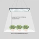 Фитолампа Yescom 225 LED 22 Вт для растений, ультратонкая панель для рассады, цветов, овощей и гидропоники - изображение 2