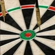 Дартс классический Profleisure Dartboard Newt NE-LG-DRT18, 45 см с дротиками - зображення 4