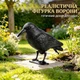 Відлякувач птахів муляж Ворона реалістична пластикова Bird Repellent Plastic Crow 38см - зображення 1