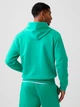Худи утепленное мужское GAP 156922226 S Зеленое (1162445666) - изображение 2