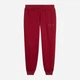 Спортивные штаны на флисе женские Puma ESS Script Sweatpants FL 69406723 S Красные (4070033363003) - изображение 4