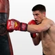 Тренировочные боксерские перчатки Everlast 6 унций (6 oz) красные - изображение 2