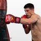 Перчатки для бокса Everlast 6 унций (6 oz) красные - изображение 2