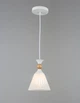 Светильник подвесной VALESO B N5361/1H - изображение 3