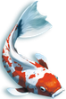 Gra planszowa Rebel Koi (wydanie polskie) (5906954791290) - obraz 7