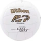 Мяч для волейбола Wilson CASTAWAY(WTH4615XDEF) 5 - изображение 3