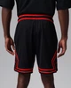 Баскетбольні Шорти Jordan Sport Men's Dri-FIT Mesh Diamond Shorts(HF9910-014) XL Чорний - зображення 3