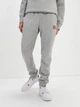 Мужские спортивные штаны утепленные ellesse ovest jog pant ska19858 м-l серые - изображение 1