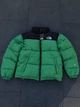 Зимняя куртка пуховик The North Face 700 Green зеленый L 4471 - изображение 2