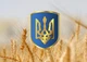 Календарь настенный квартальный на 2027 год на три пружины, Apriori , Герб Украины , Пшеница , 29,7х61см - изображение 2